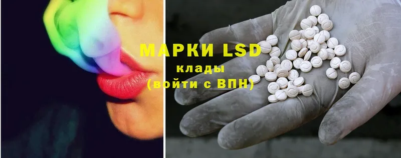 Купить наркоту Новозыбков Псилоцибиновые грибы  Марихуана 