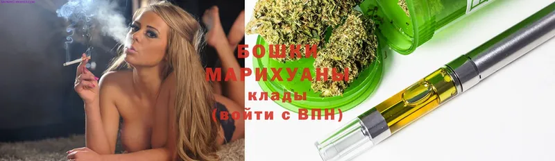 Конопля SATIVA & INDICA  купить   Новозыбков 